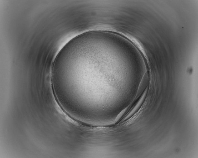 X0000091061390200708061233