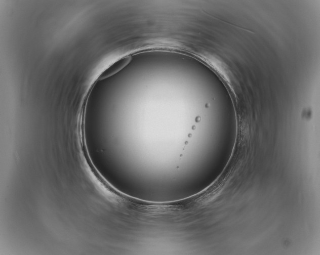 X0000091061391200708061233