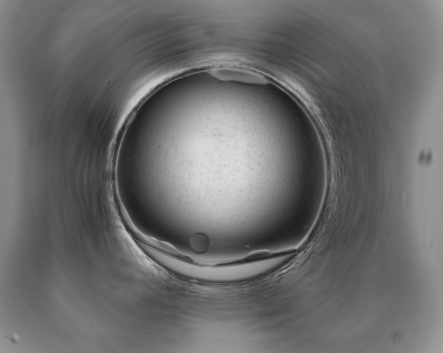 X0000091061392200708061233