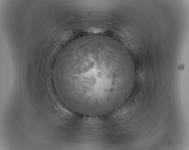 X0000091061393200708061233