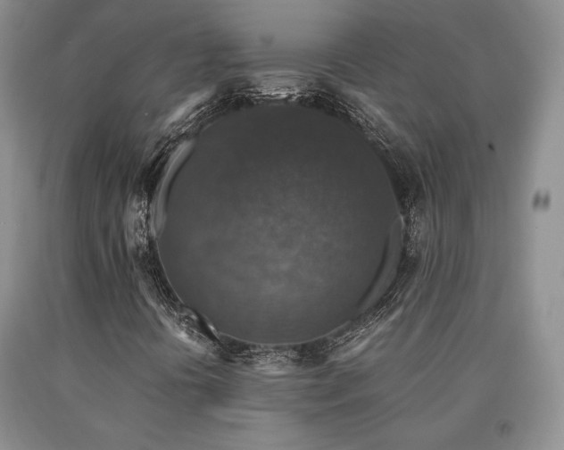 X0000091061394200708061233