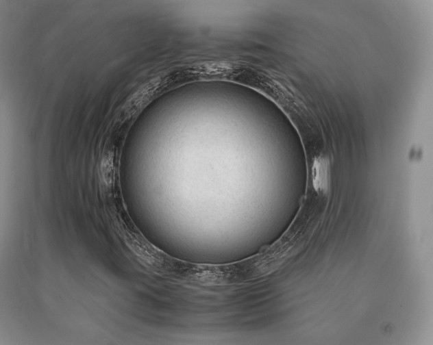 X0000091061395200708061233