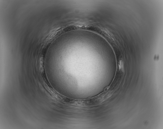 X0000091061396200708061233