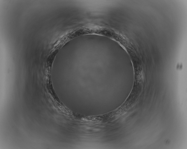 X0000091061397200708061233