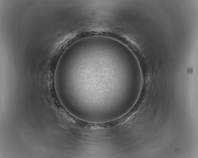X0000091061398200708061233