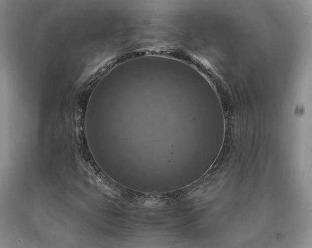 X0000091061399200708061233