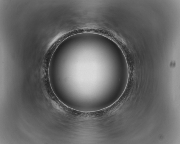X0000091061400200708061233