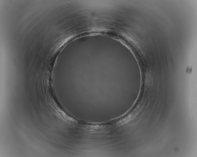 X0000091061401200708061233