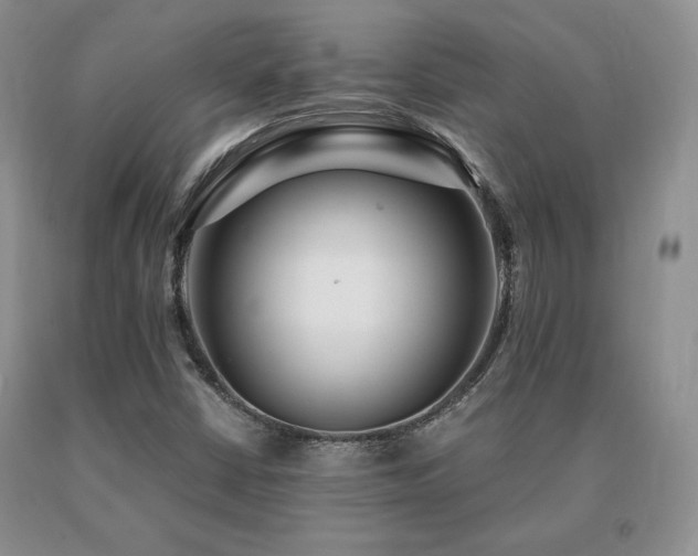 X0000091061402200708061233
