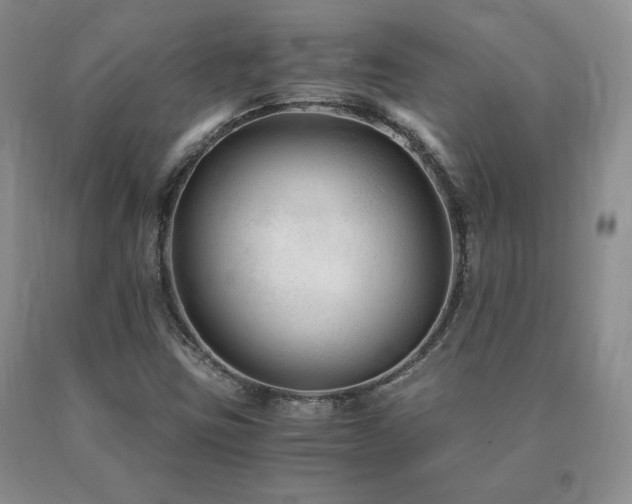 X0000091061403200708061233