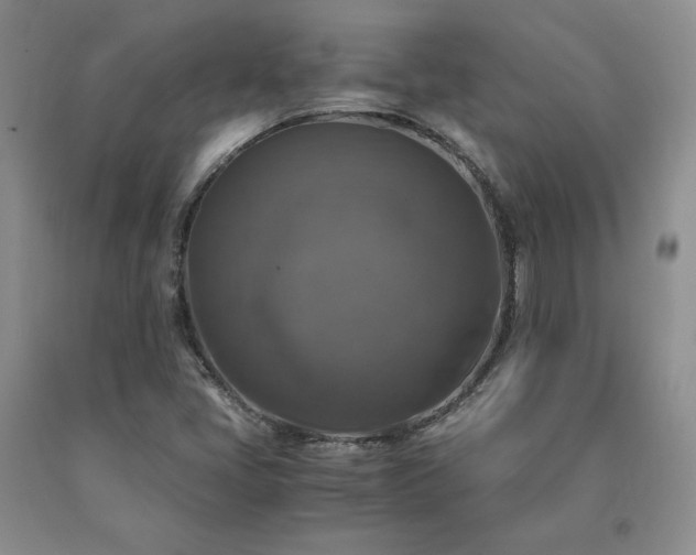 X0000091061405200708061233