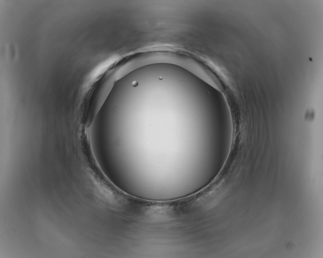 X0000091061406200708061233