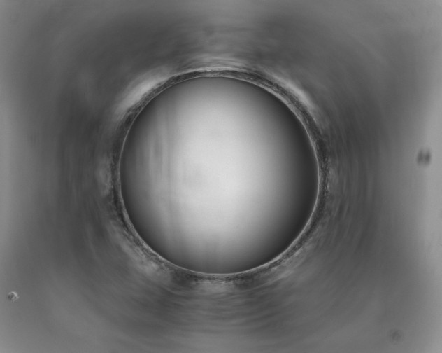 X0000091061407200708061233