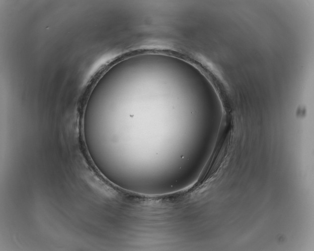 X0000091061408200708061233