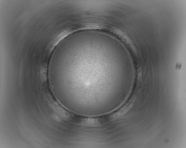 X0000091061409200708061233