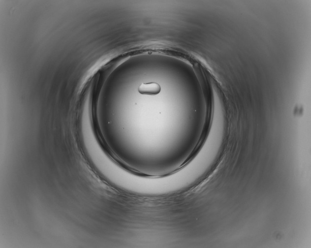 X0000091061410200708061233