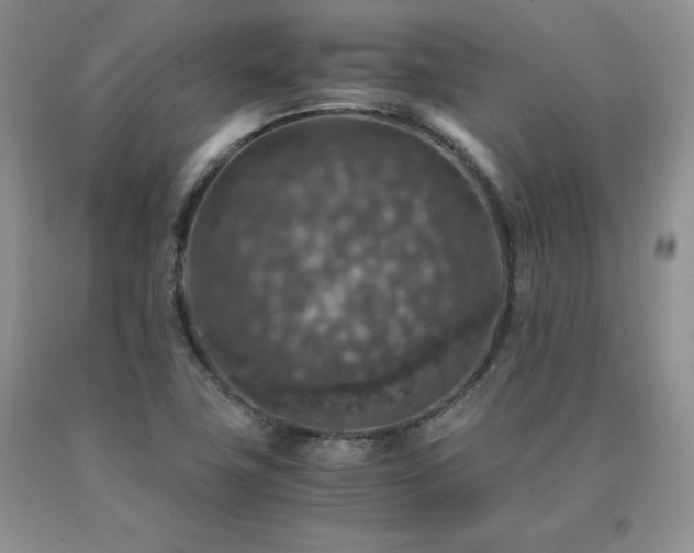 X0000091061411200708061233