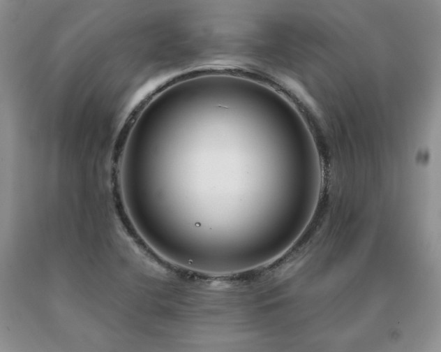 X0000091061412200708061233