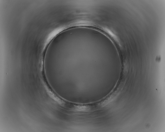 X0000091061413200708061233