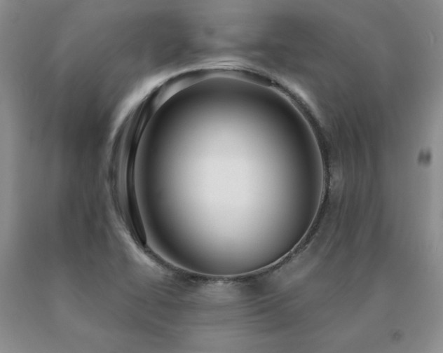 X0000091061414200708061233
