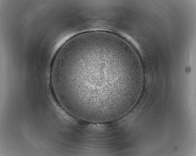 X0000091061415200708061233