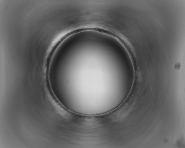X0000091061416200708061233