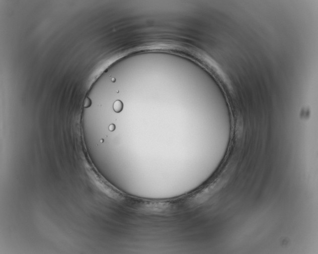 X0000091061417200708061233