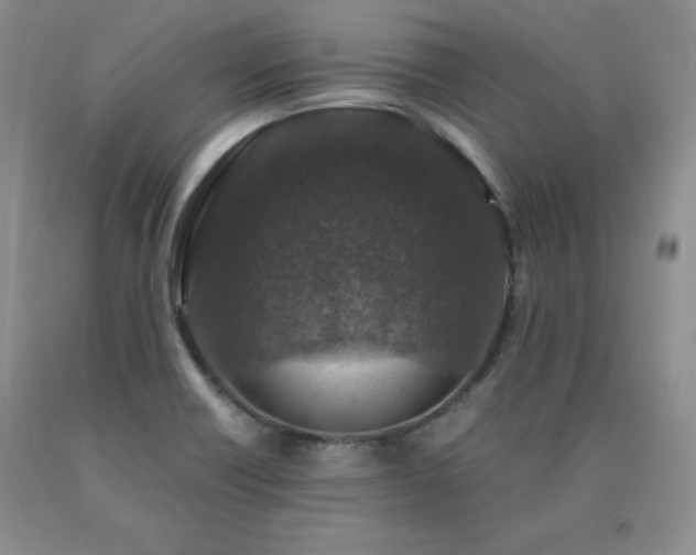 X0000091061418200708061233