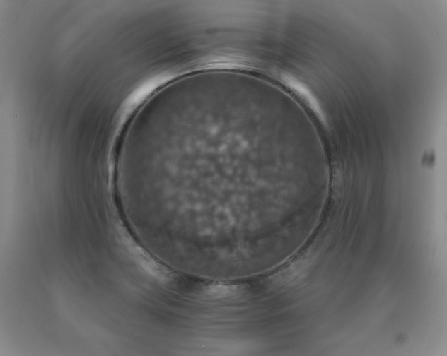 X0000091061419200708061233