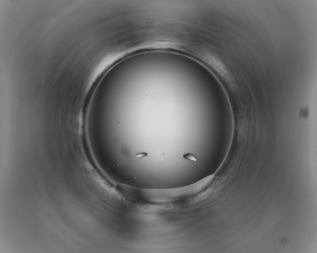 X0000091061420200708061233