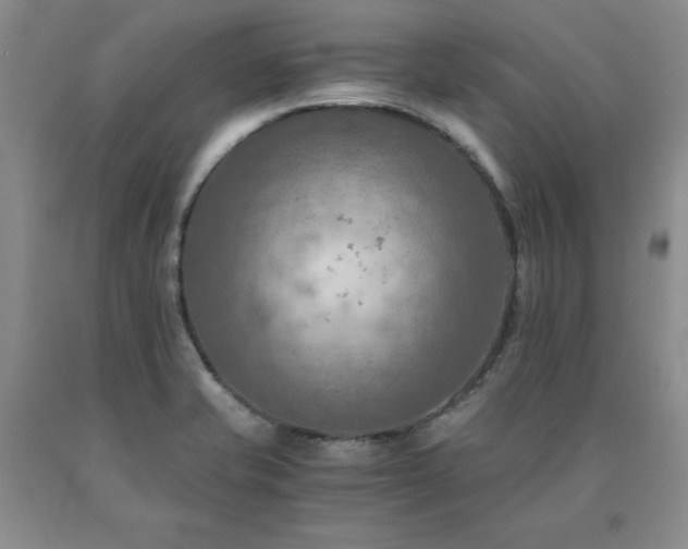 X0000091061421200708061233