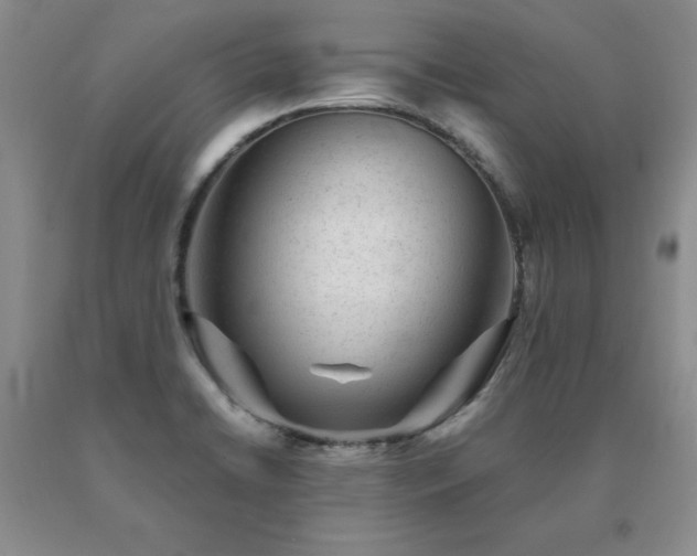 X0000091061422200708061233