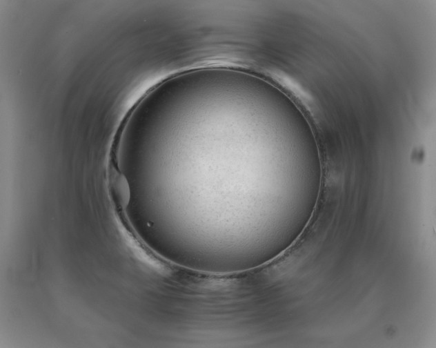 X0000091061423200708061233