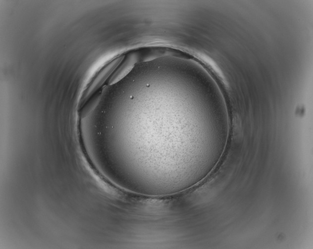 X0000091061424200708061233