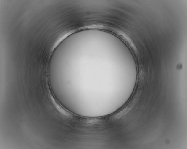 X0000091061425200708061233