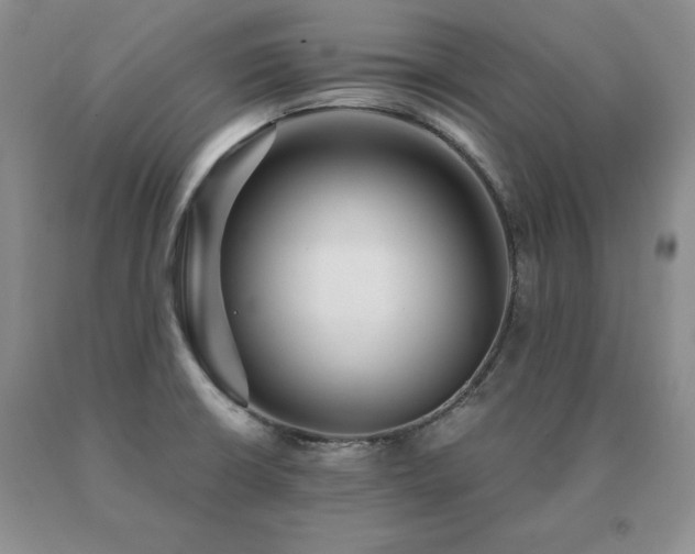 X0000091061426200708061233