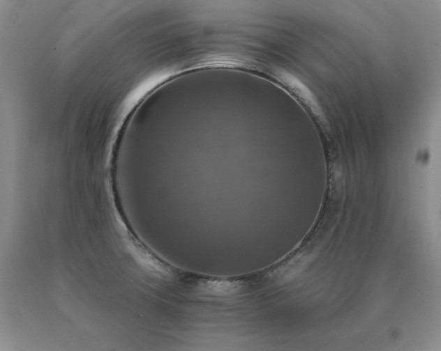 X0000091061427200708061233