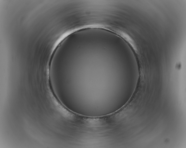 X0000091061428200708061233