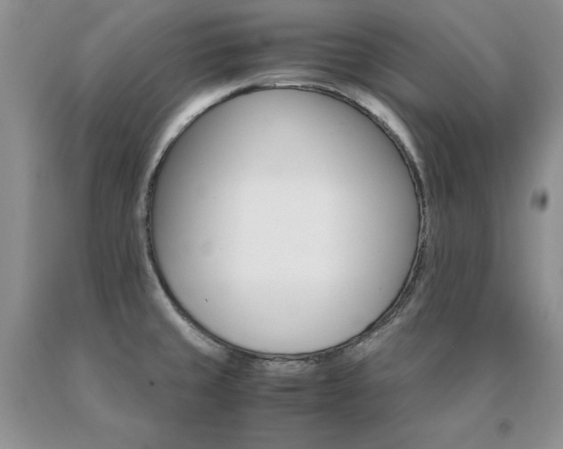 X0000091061429200708061233