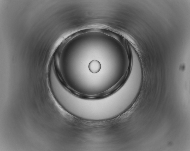 X0000091061430200708061233
