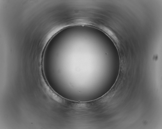 X0000091061431200708061233