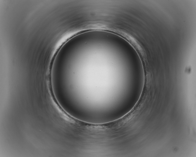 X0000091061432200708061233