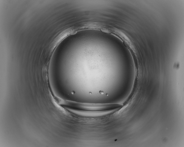 X0000091061433200708061233