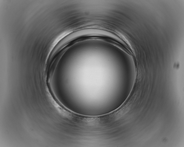 X0000091061434200708061233