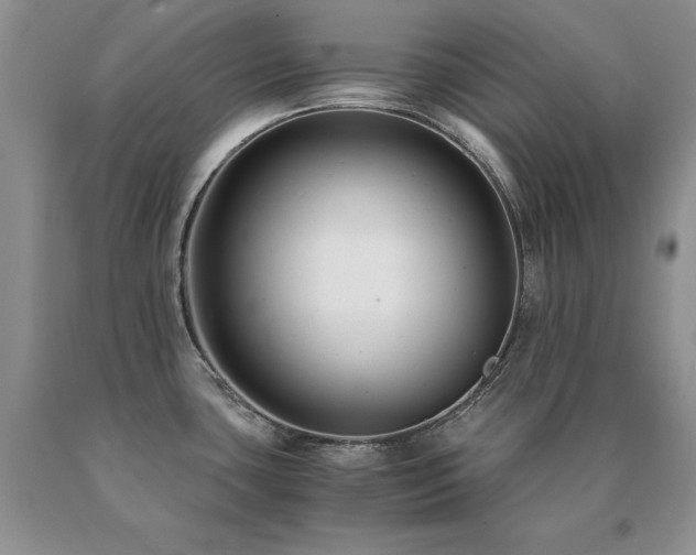 X0000091061435200708061233