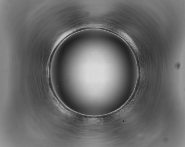 X0000091061436200708061233