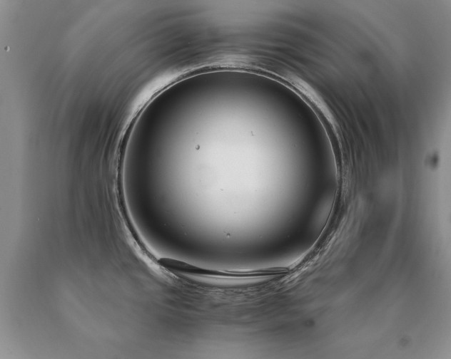 X0000091061437200708061233