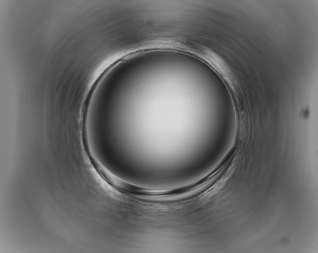 X0000091061438200708061233