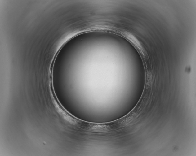 X0000091061439200708061233