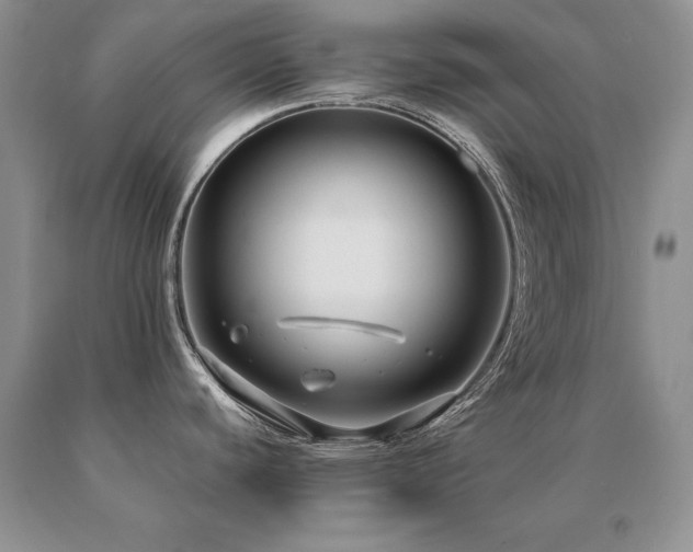 X0000091061440200708061233